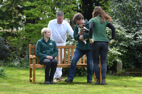 Tierarztpraxis Dr. Stephan Böttcher